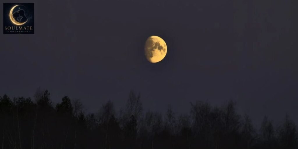 Waxing Gibbous Phase