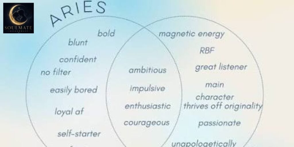 _Twin Flame Zodiac